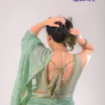 Ice cream Saree